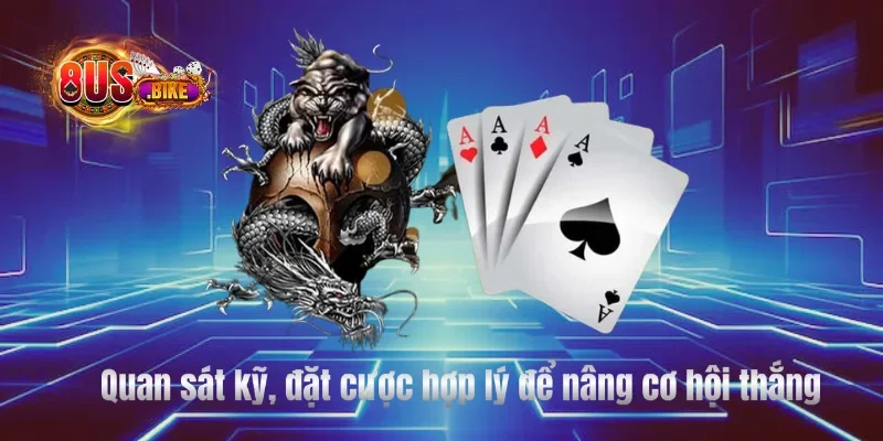 Quan sát kỹ, đặt cược hợp lý để nâng cơ hội thắng