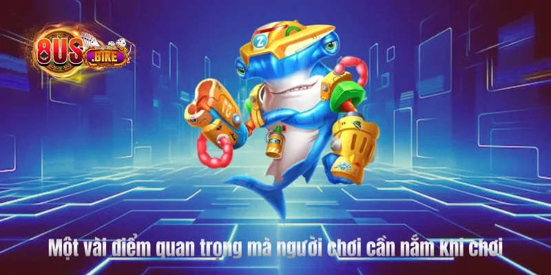 Một vài điểm quan trọng mà người chơi cần nắm khi chơi